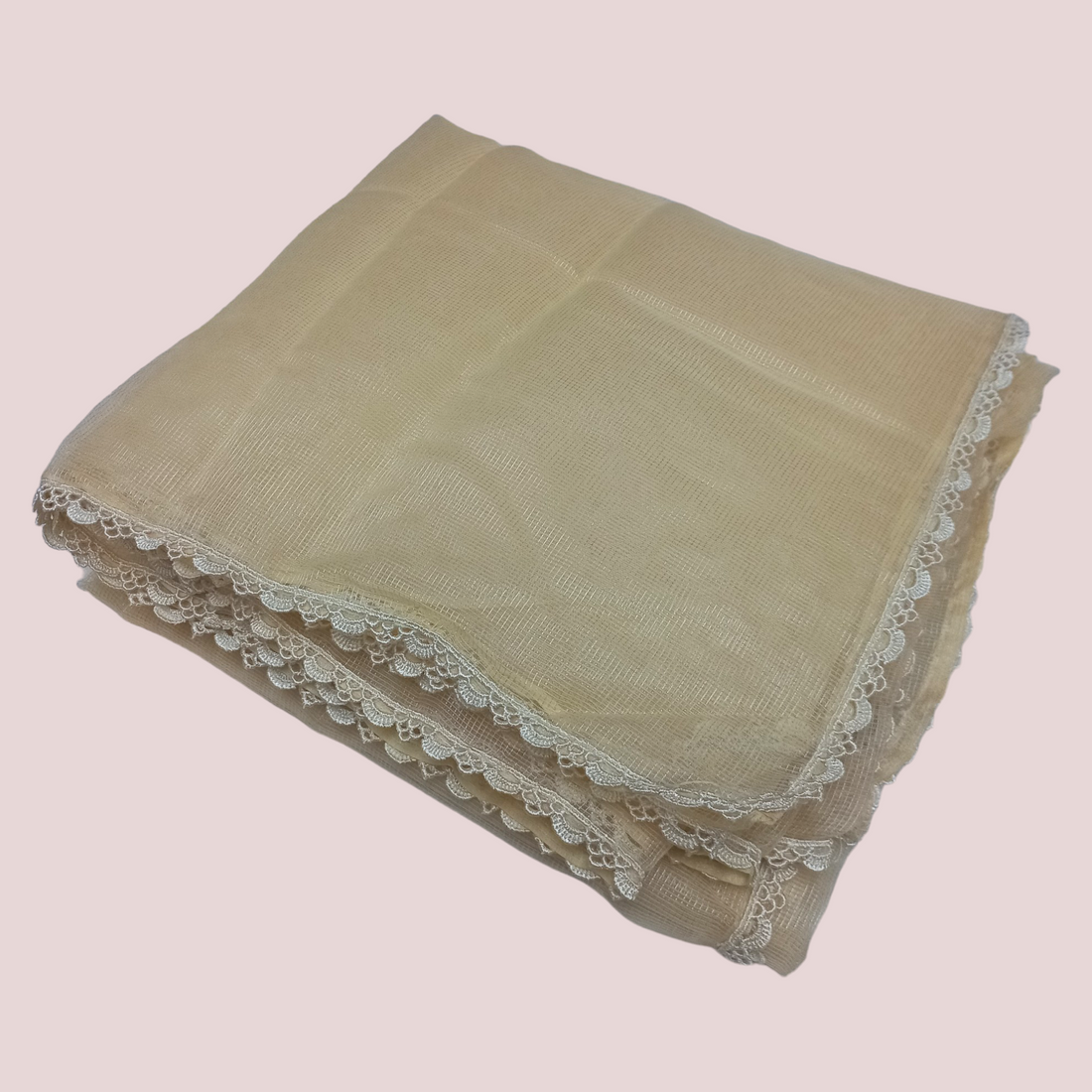 Organza Net Laced Dupatta - Light Skin